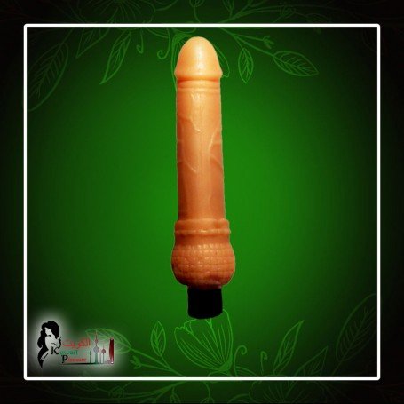 Mr. Dong Realistic Vibrator RSV-017