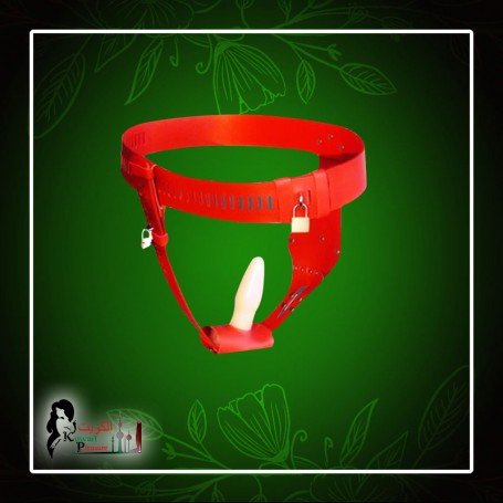 Chastity Lock Device for Women BDSM-002