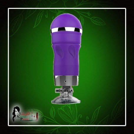 Electric Real Voice Remote Control Flashlight Masturbator MS-032