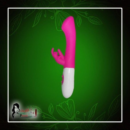 10 Function Dual Rabbit Vibrator RV-014