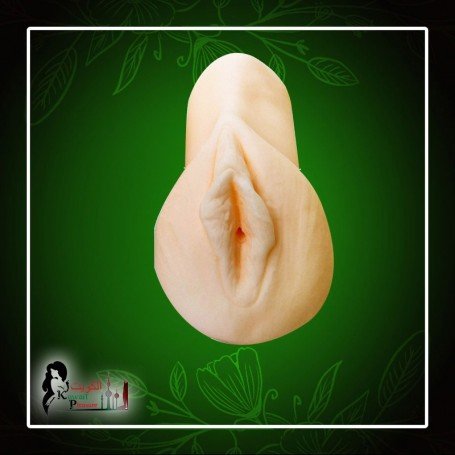 Pocket Pal V2 MMT-016