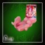 Fresh Spirited Girl- VIBRATING PUSSY BAV-001 Fresh Spirited Girl- VIBRATING PUSSY BAV-001
