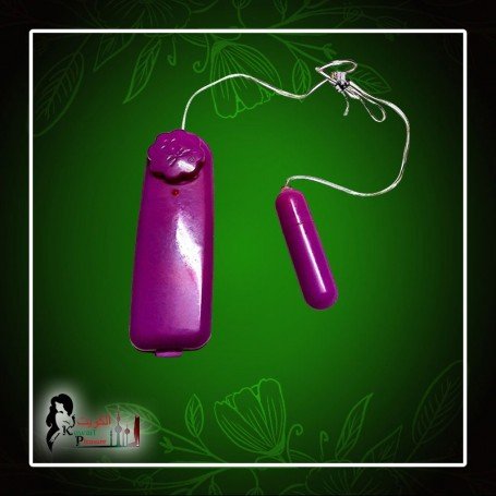 Personal Vibration Jump Egg Vibrating Bullet Massager BV-030