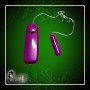 Personal Vibration Jump Egg Vibrating Bullet Massager BV-030