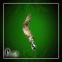 Fox Tail Brown Plated Metal Anal Plugs AD-020